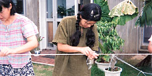 �����芇��